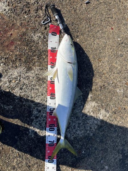 ★★とうとう奴が来た★★