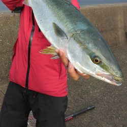 久しぶりにメジりました。