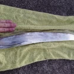 そして平常運転へ。