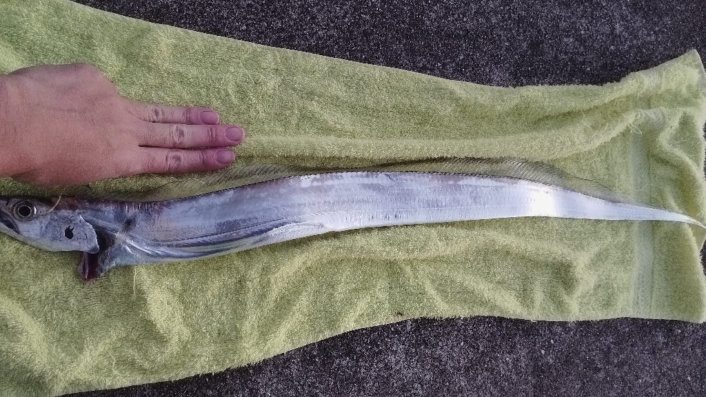 そして平常運転へ。