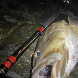 rockyshoreパート1