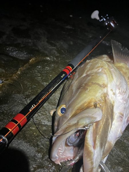 rockyshoreパート1