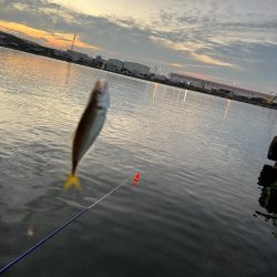 おめでとうございま~すっ!!