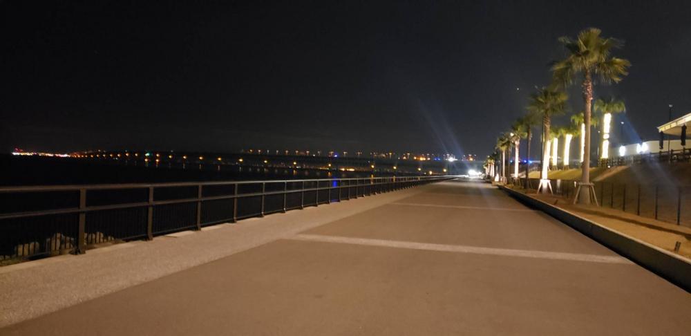 アジ探し@りんくう