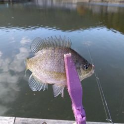 ワカサギ釣りへ☆