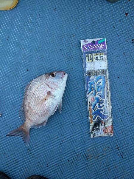 串本のカセ釣り
