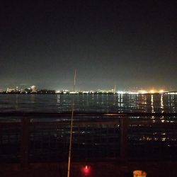 夜釣りでウキ釣り