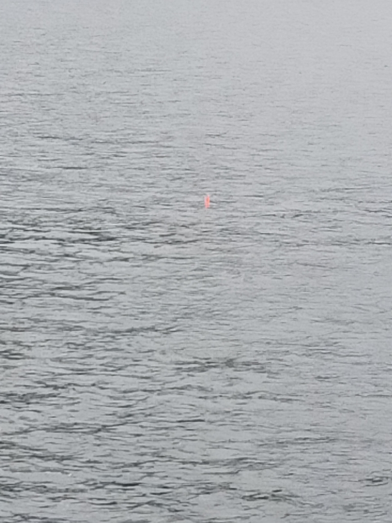 初めての遠投カゴ釣り