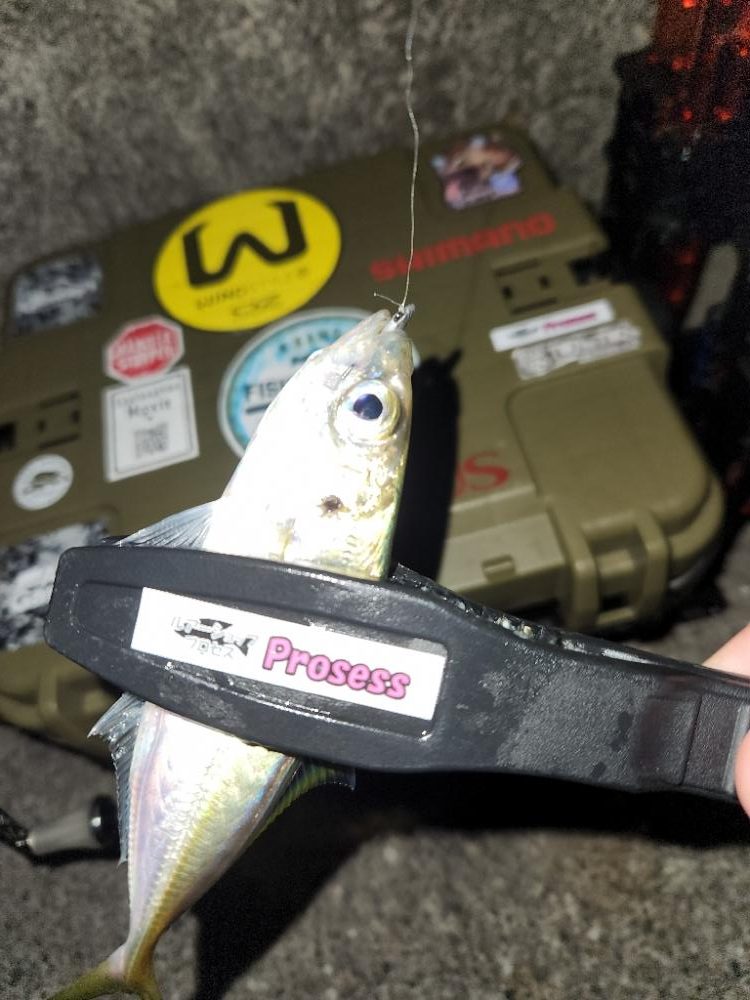 ちょー久しぶりのフロートアジング