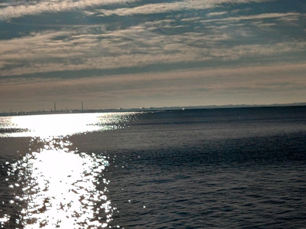 そろそろマゴチ終盤?