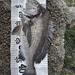 イチノ兄弟（兄）釣果！