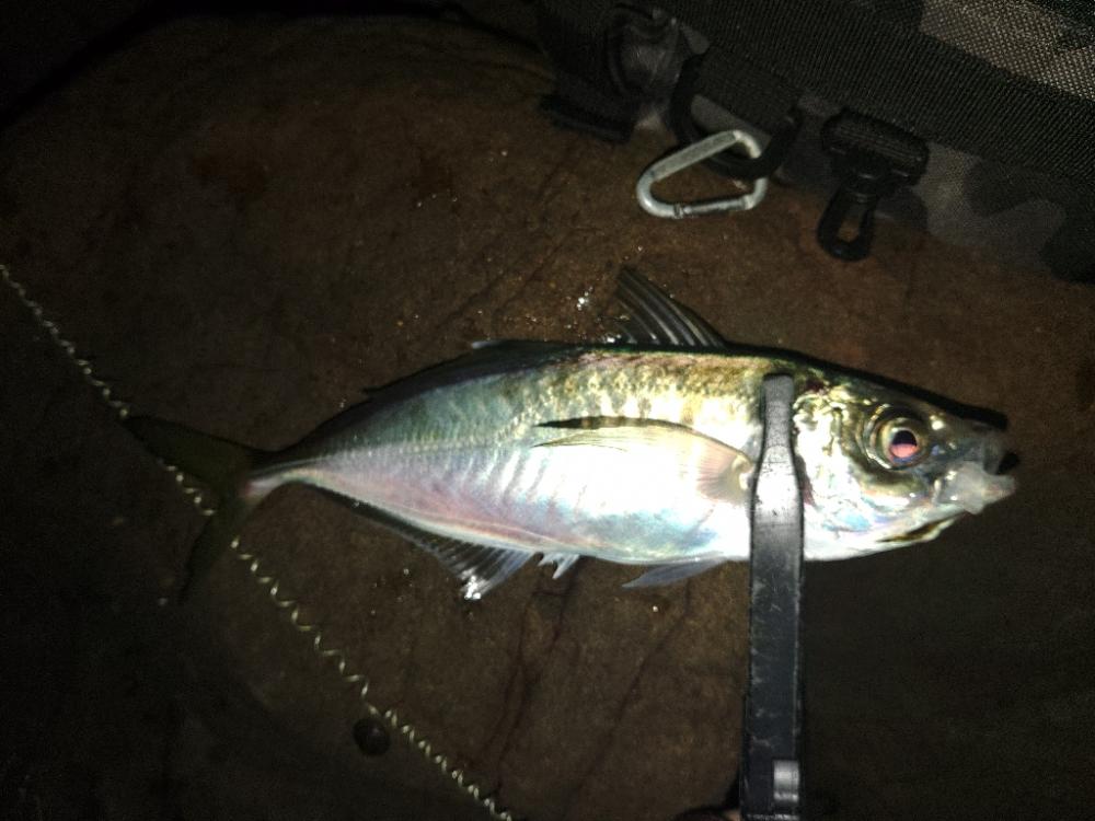 フロートゲーム~