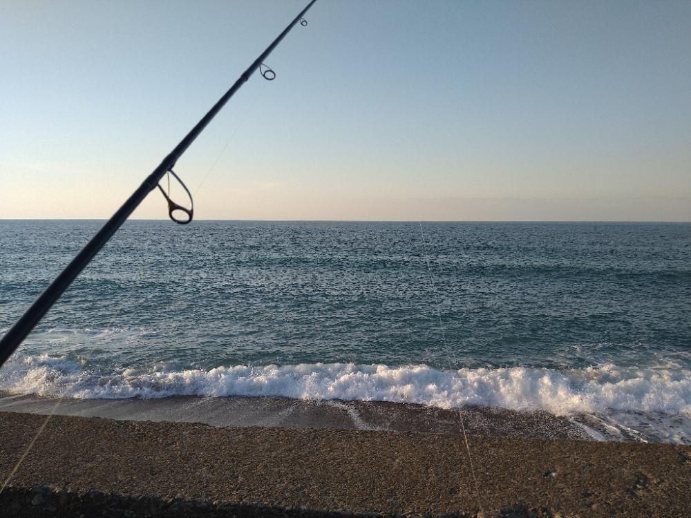 サーフのナブラ打ち