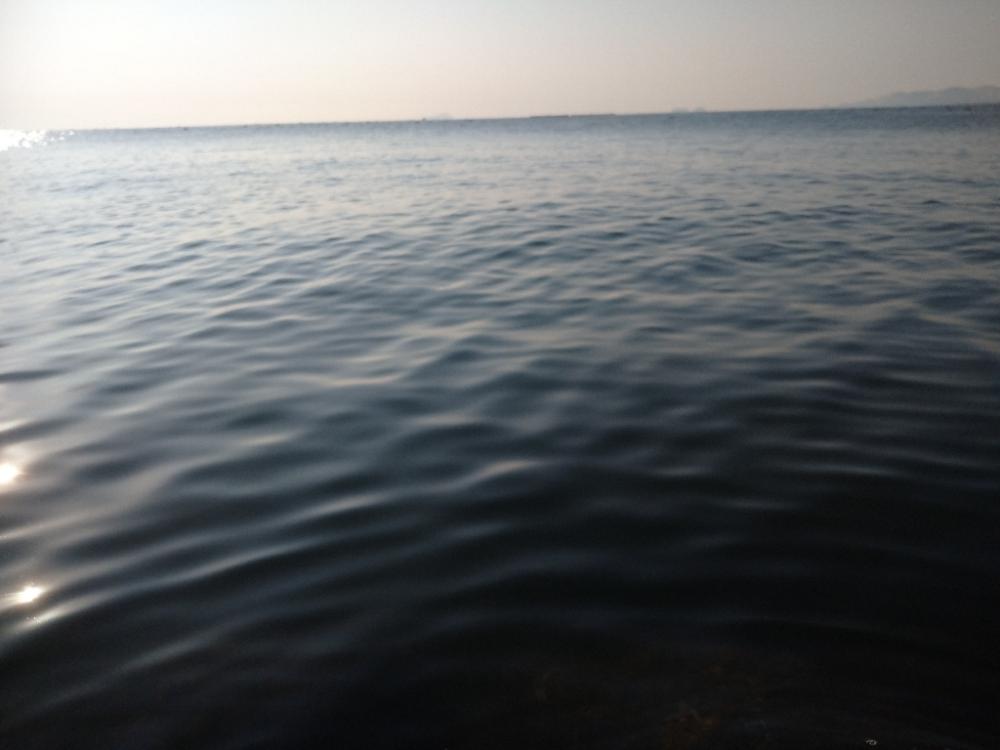 ロッド新調しライトショアジギング