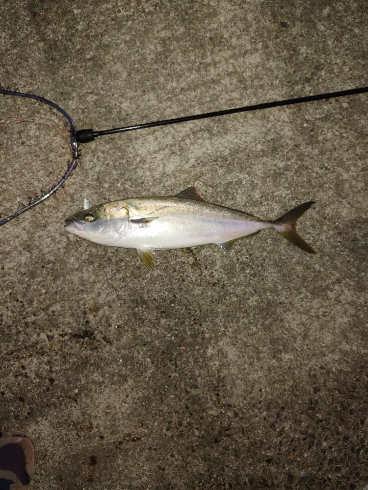 先端でなくても釣れる時もある