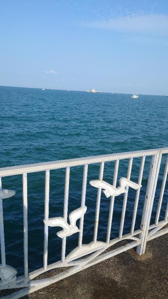 カワハギ小さいけど