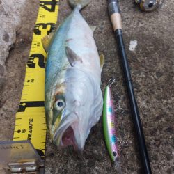 プチsalt water game