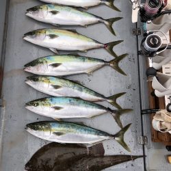 伊勢湾ジギング