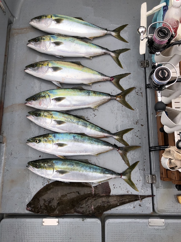 伊勢湾ジギング