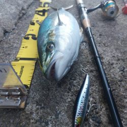 プチsalt water game