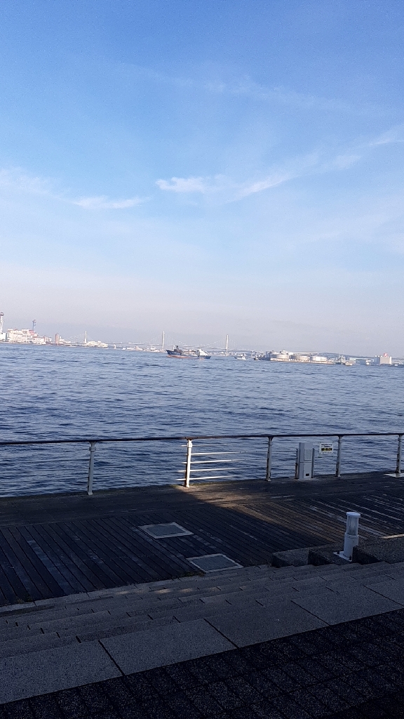 イシダイHIT‼️