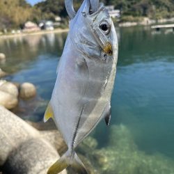 引き続き次の日も同じ場所