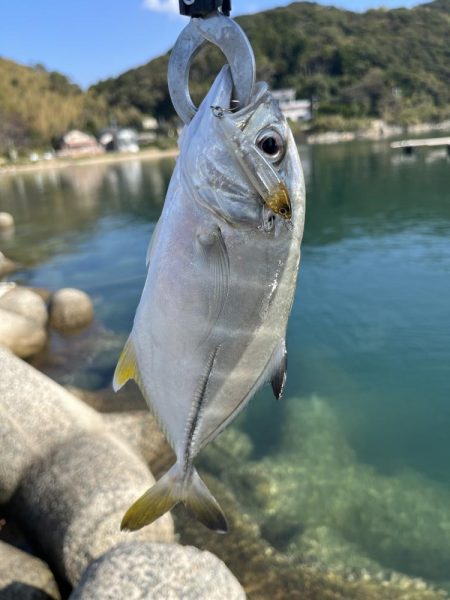 引き続き次の日も同じ場所
