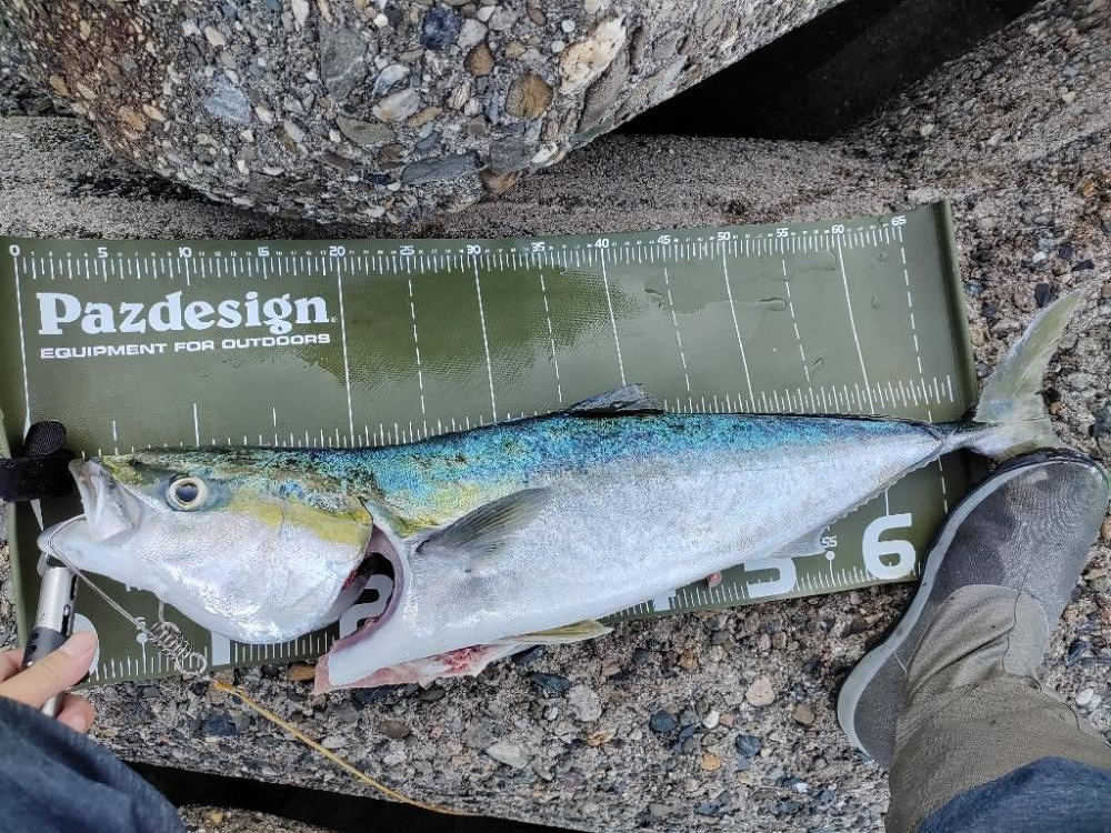 ショアジギング