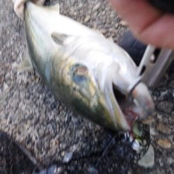 久しぶりのホーム戦