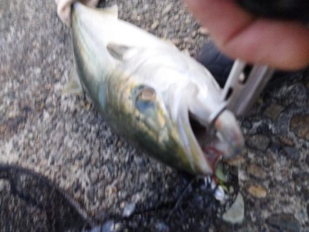 久しぶりのホーム戦