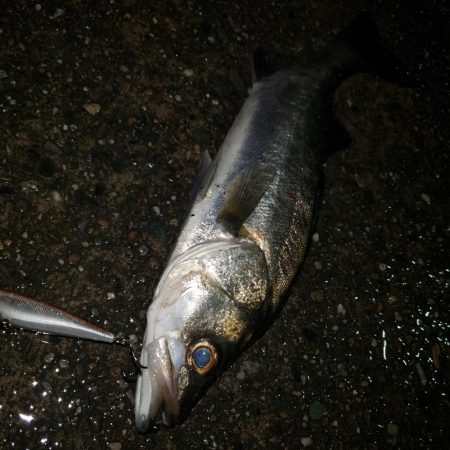 雨のナイトゲーム