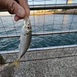 オールノーヒット