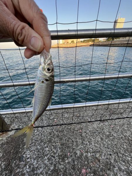 オールノーヒット