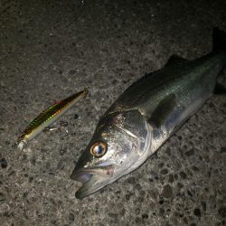 まだまだ修行がたらん！