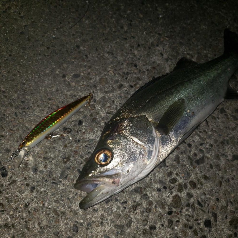 まだまだ修行がたらん！