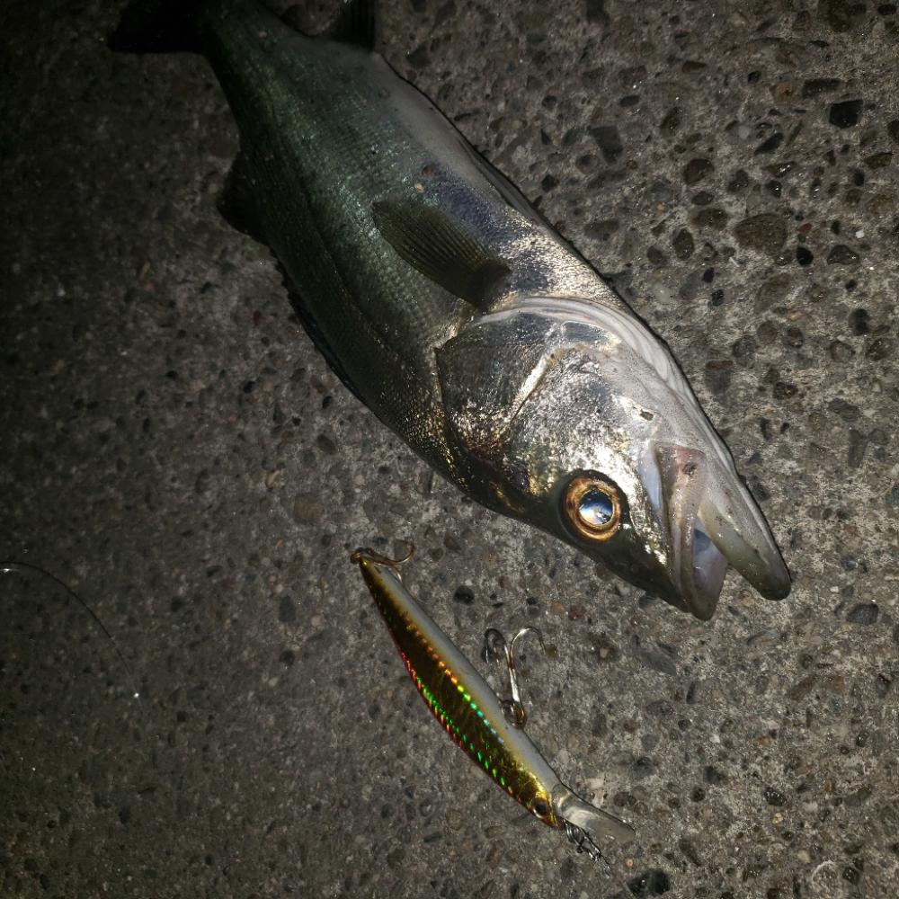 まだまだ修行がたらん！