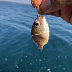 初の厳しい筏釣り