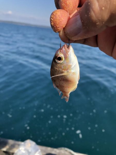 初の厳しい筏釣り