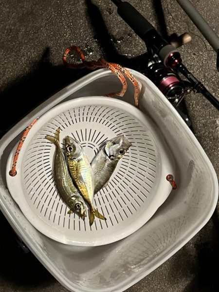 昨日と同じ場所で