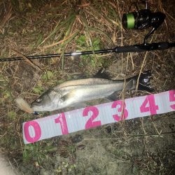 ががっときました。