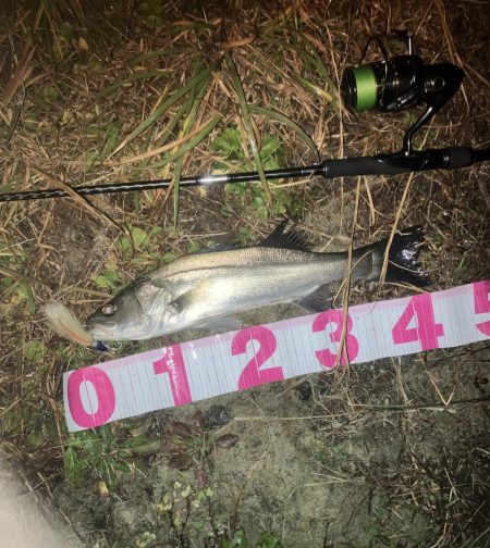 ががっときました。