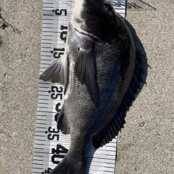 イチノ兄弟（兄）釣果！