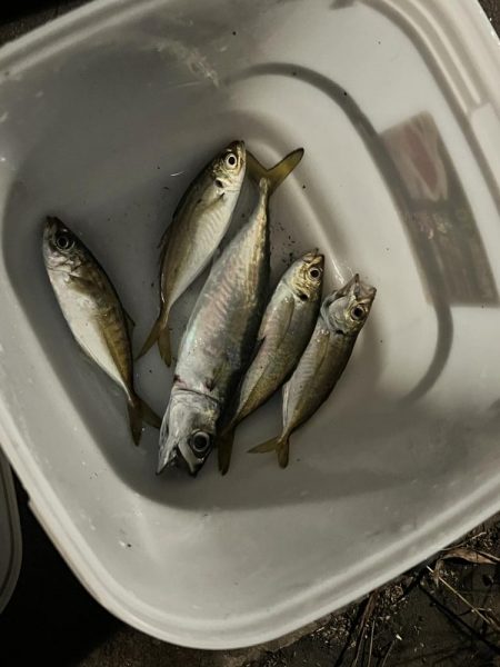 挨拶は大事だよなー