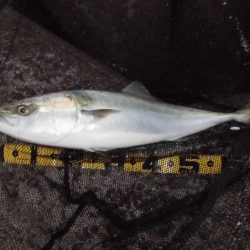 日没後の猛打賞?