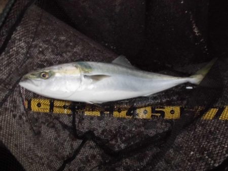 日没後の猛打賞?