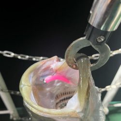 大分杵築沖　シーバス狙い