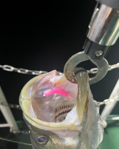 大分杵築沖　シーバス狙い