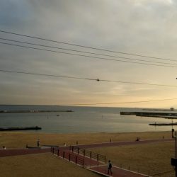 まずまずの釣果