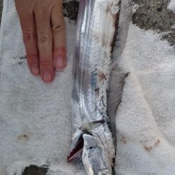 居ないかなと思ったら居た件