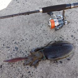 天候はよかったのですが・・・